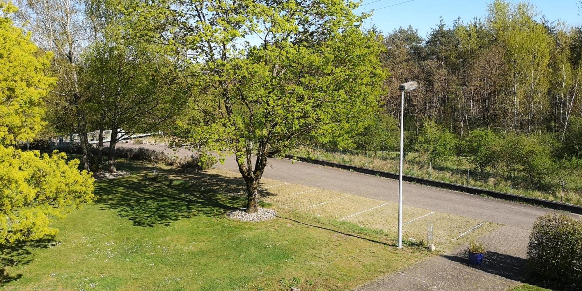 Niederwald Appartement Iffezheim Buitenkant foto